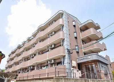 アビタシオン花の樹