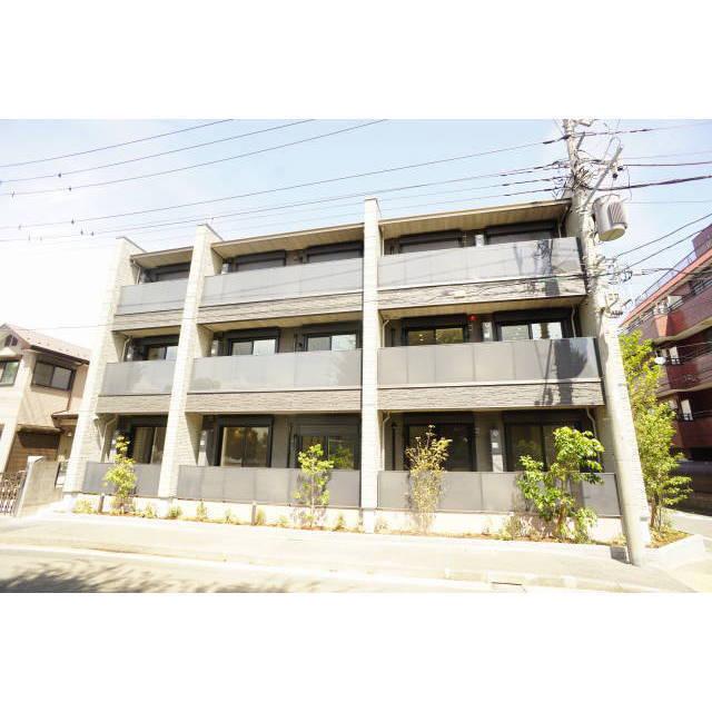 コリーナ ステラータ