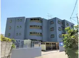 パークハイム河野
