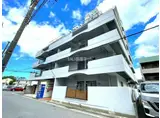 マグノリア