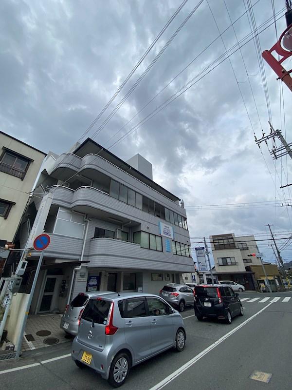 ソフィア辻井