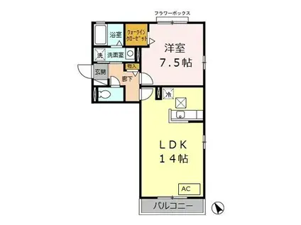 サンパティーク(1LDK/1階)の間取り写真