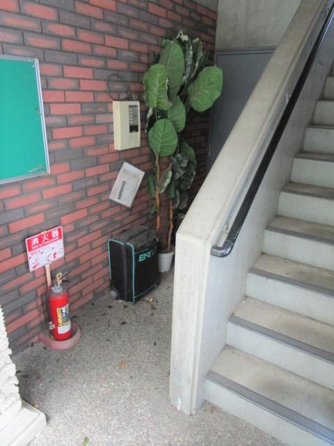 アレルヤ