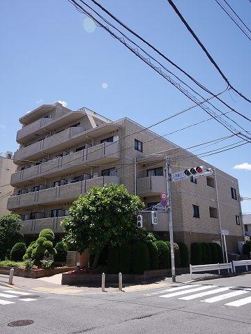 PALACIO用賀パラーシオ