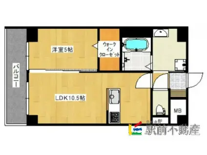 ウィリングコージー(1LDK/5階)の間取り写真