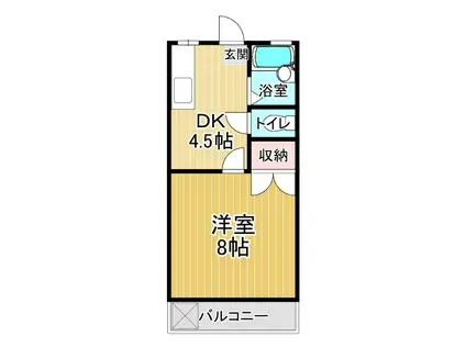近藤アパート(1DK/1階)の間取り写真