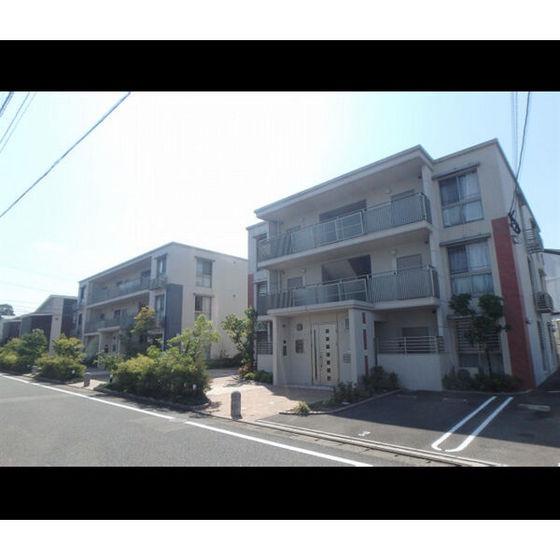 ステラ若草
