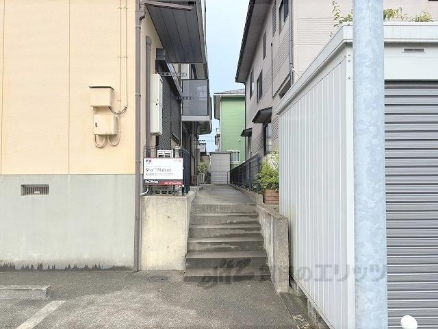 ソシア中陰