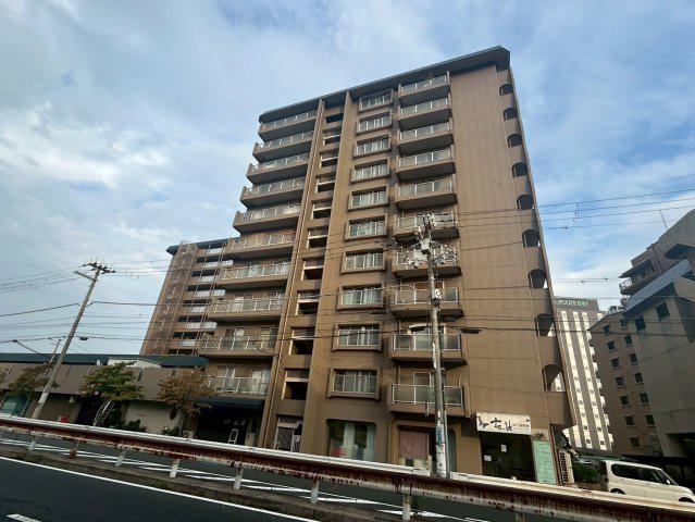 ルネ羽衣