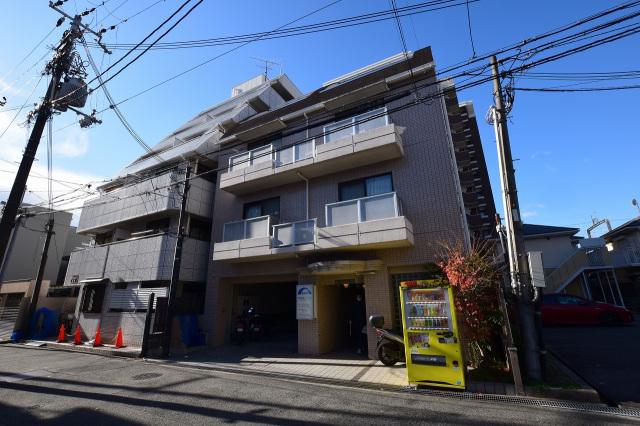 ラクーンドッグ
