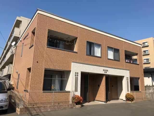 アドヴァンス光