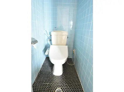 マンション篠原II(2DK/3階)のトイレ写真