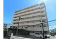 MODERN PALAZZO女神大橋