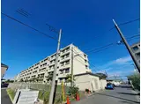 ルネ春日部
