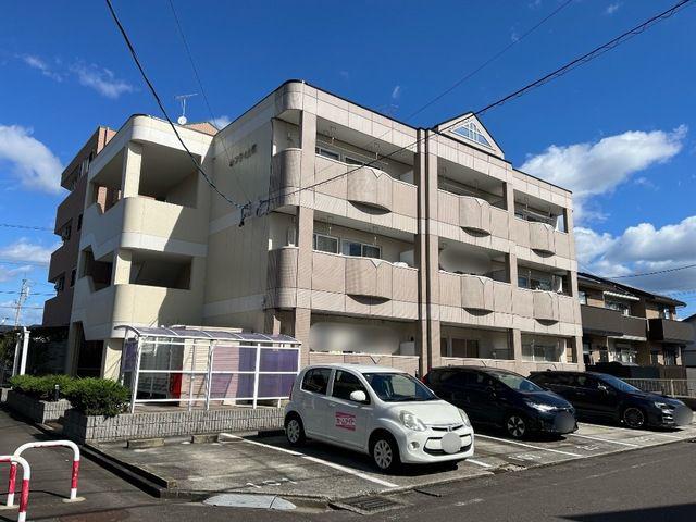 セフティ上坂
