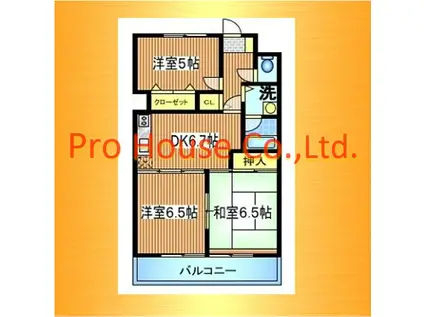 大関山ハイツ(3DK/8階)の間取り写真