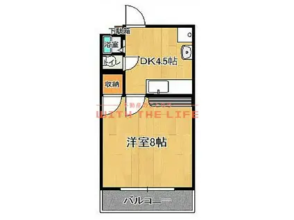 メゾン高嶋(1DK/1階)の間取り写真