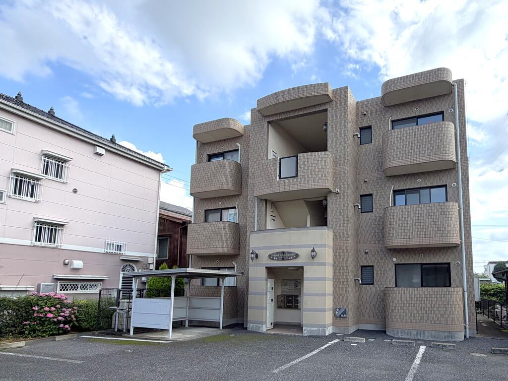 グランカモミール