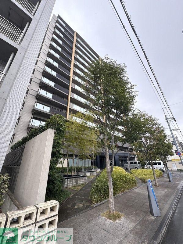 アデニウム新小岩