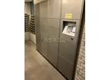 シャリエ朝霞
