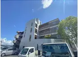 サンドエル藤の木