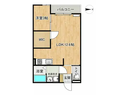 テレジア広田(1LDK/1階)の間取り写真