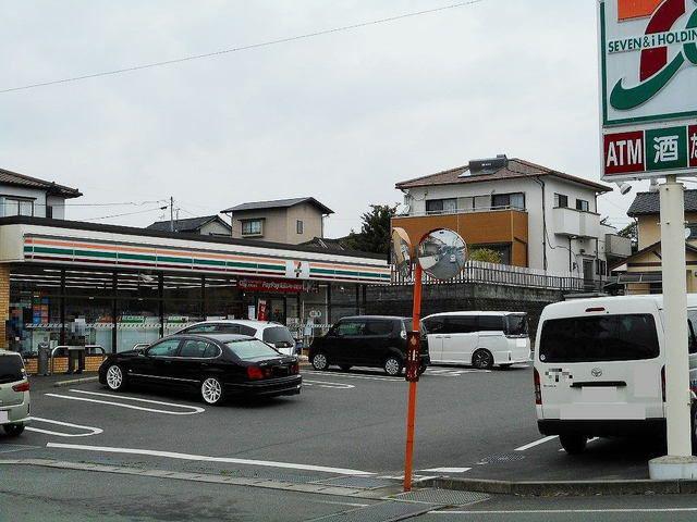 サザンカII