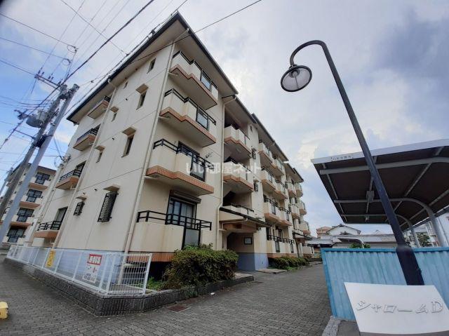 シャロームD