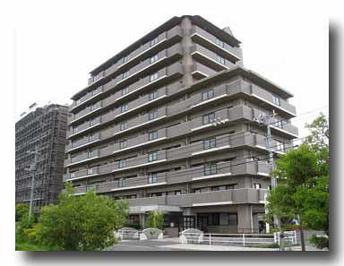 両備グレースマンション妹尾駅前 弐番館(3LDK/10階)