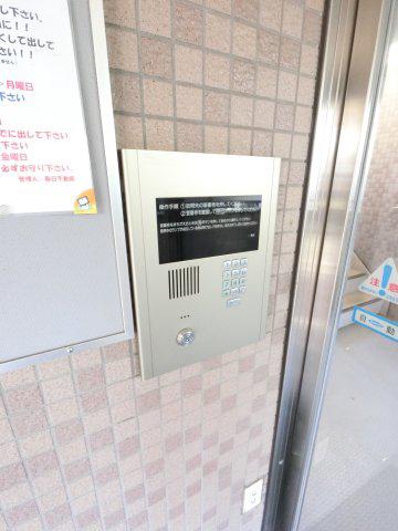 ナッツベリー千葉