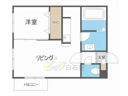 AXIS-WILL 東札幌STA(1LDK/2階)の間取り写真