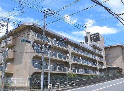スターハイツ住吉川
