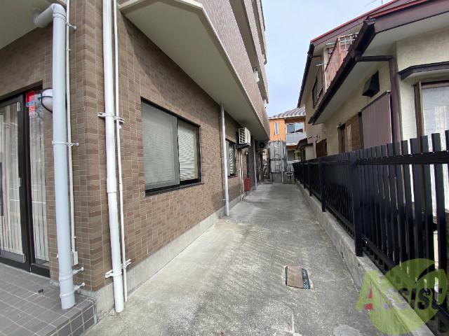 コットンK