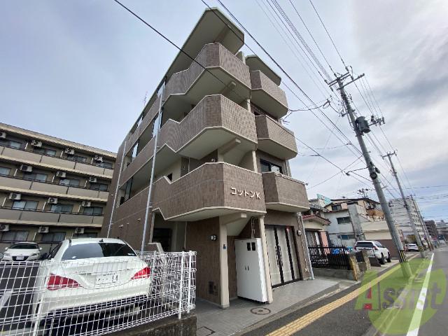 コットンK