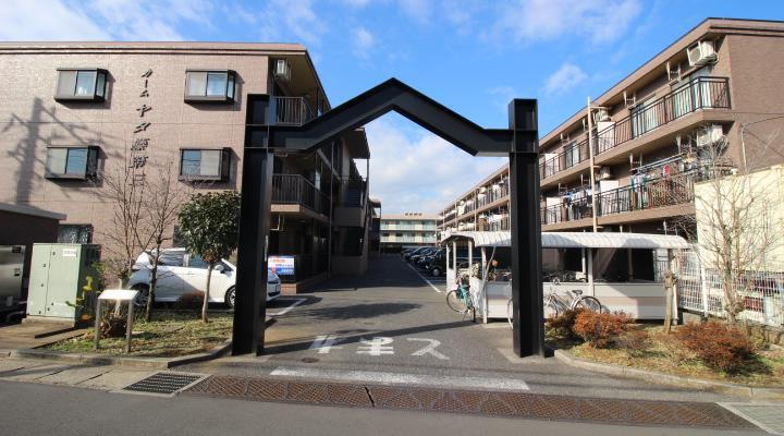 カームヤタ藤第三