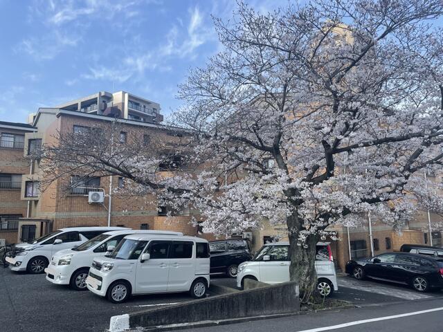 RAY霧ヶ丘桜マンション
