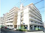 パシフィック箱崎VII