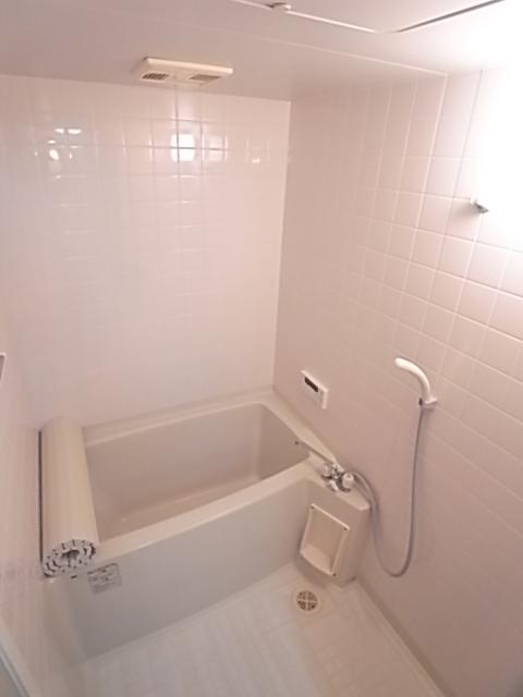 Vコート