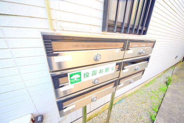 ミニヨン菊名