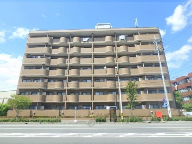 グレース・ダイン