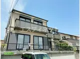 エクレル若草