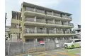 ステラ蛍池