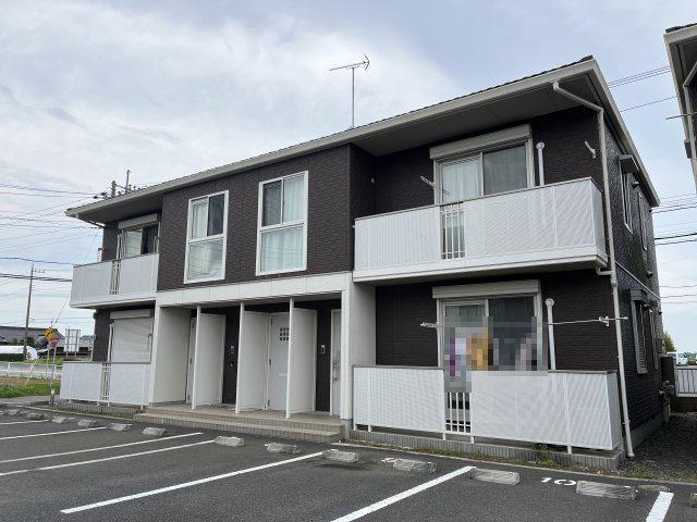 クレイプマートル・51 B