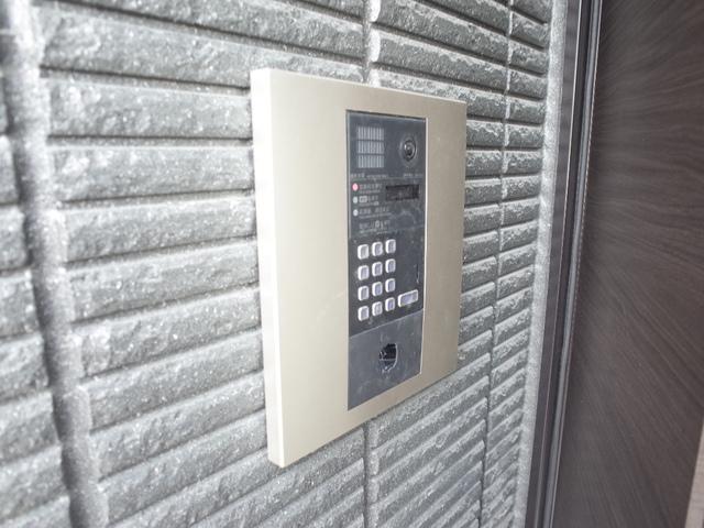 コモド平野