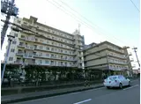 プリムローズ岸和田