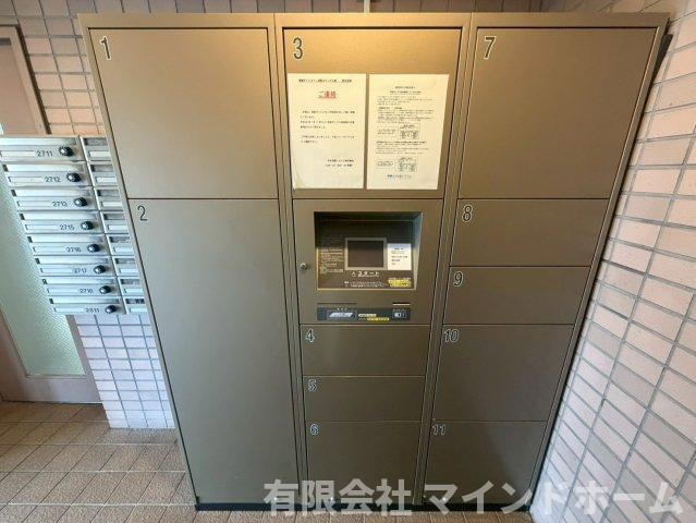 信開ダイナスティ浅野川 キングス