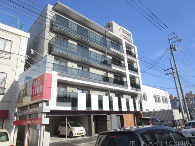 HARNESS 南11条