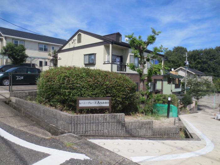 ムーニーグレイス浅野