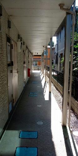 クレイノワン
