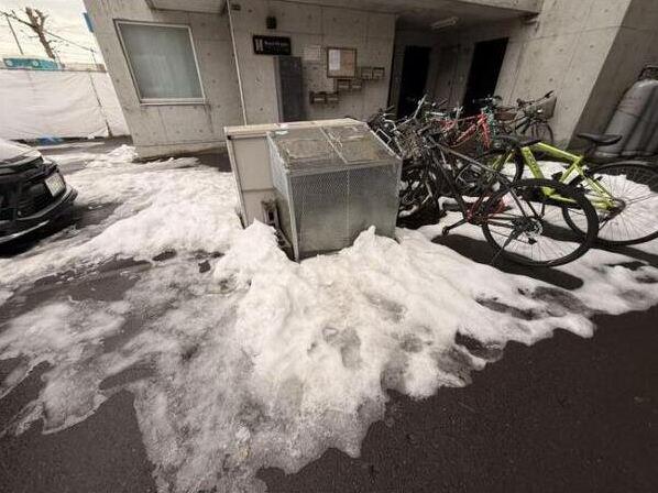 レスペデザ菊水